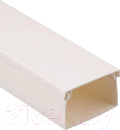 Кабель-канал Rexant 100x60мм / 28-0060-2