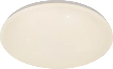 Потолочный светильник ESCADA 10216/SG LED APP (белый)