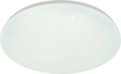 Потолочный светильник ESCADA 10216/SG LED APP (белый) — фото 3