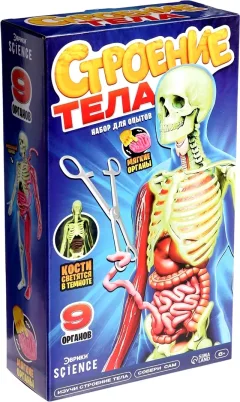 Научная игра Эврики Строение тела / 10690583 — фото 1
