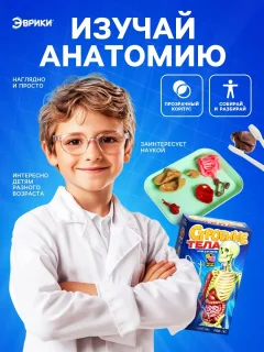 Научная игра Эврики Строение тела / 10690583 — фото 6