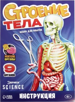 Научная игра Эврики Строение тела / 10690583 — фото 8