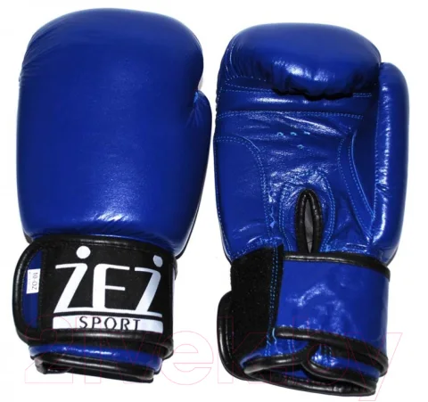 Боксерские перчатки ZEZ Sport 10-OZ-NK
