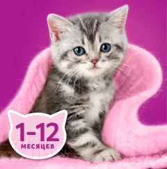 Влажный корм для кошек Whiskas Для котят от 1 до 12 месяцев рагу с курицей (75г) — фото 7