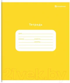 Набор тетрадей Schoolformat Однотонные / ТШКЛ12-ОД-НМП (20шт) — фото 4