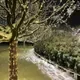Светодиодная гирлянда КС Нить Ориона 15W 200 LED / 955138 (10м, белый) — фото 8