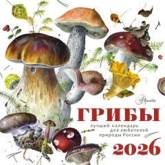 Календарь настенный АСТ Грибы. 2026 год (9785171739638) — фото 1