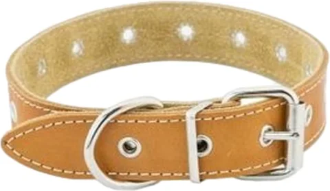 Ошейник Homepet 25мм до 45см / 84021 (янтарь)