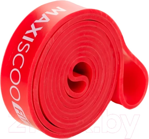 Эспандер Maxiscoo Fit 30-45кг / MSF-LU-270723-3045-RD (красный)