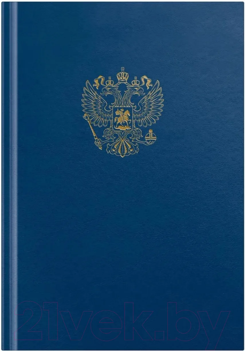 Книга учета OfficeSpace 315594 (96л, синий)