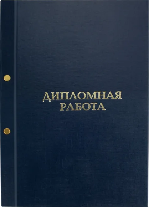 Папка адресная ArtSpace Дипломная работа / 371806