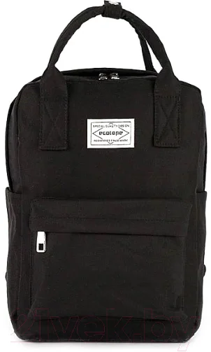 Рюкзак Ecotope 377-866-BLK (черный)