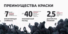 Краска для бровей Bronsun Для бровей и ресниц №3 иссиня-черный (15мл) — фото 8