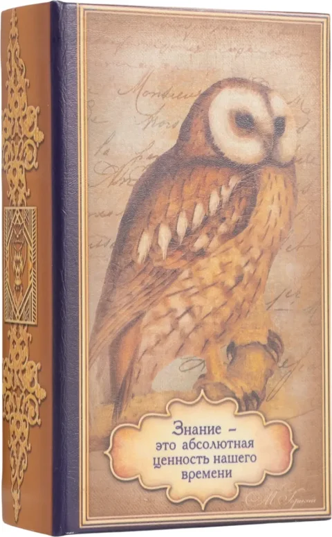 Книга-сейф Sima-Land Знание - это абсолютная ценность нашего времени 4794002