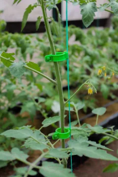 Набор для подвязки растений Gardenplast 50114 (100шт) — фото 3
