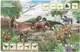Развивающая книга Умка 50 окошек для малышей. Тайны динозавров (9785506099376) — фото 9