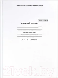 Журнал классного руководителя Феникс+ Классный журнал 5-9 класс / 5192 — фото 1