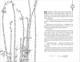 Художественная книга О2 Цветы пиона на снегу. Том 5 (Маро Моргана, твердая обложка) — фото 9