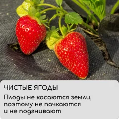 Укрывной материал GREENGO Мульчирующий 5x3.2м плотность 60г/м2 с УФ-стабилизатором (черный) — фото 7