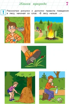 Развивающая книга Эксмо Изучаю мир вокруг: для детей 6-7 лет, мягкая обложка (Липская Наталья) — фото 4