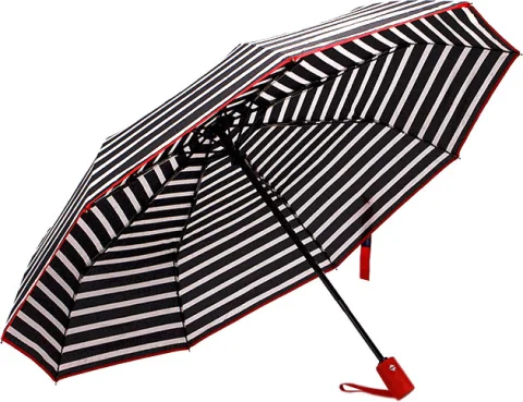 Зонт складной Rain Berry 734-1310.1 (черный)