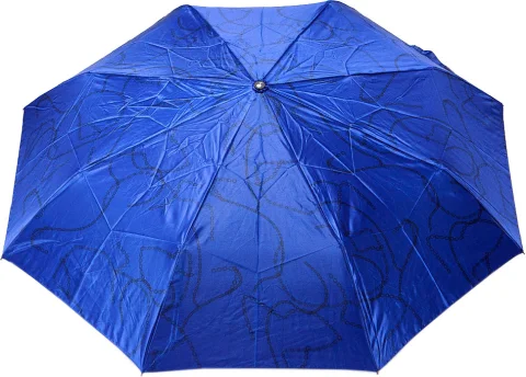 Зонт складной Rain Berry 734-23332.1 (синий)
