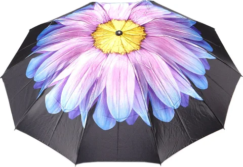 Зонт складной Rain Berry 734-23340.2 (черный/голубой)