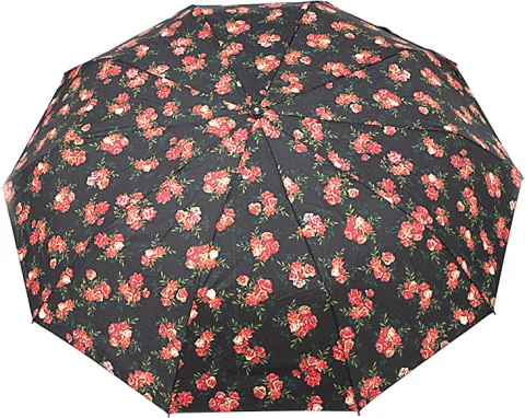 Зонт складной Rain Berry 734-23588.1 (черный/цветы)