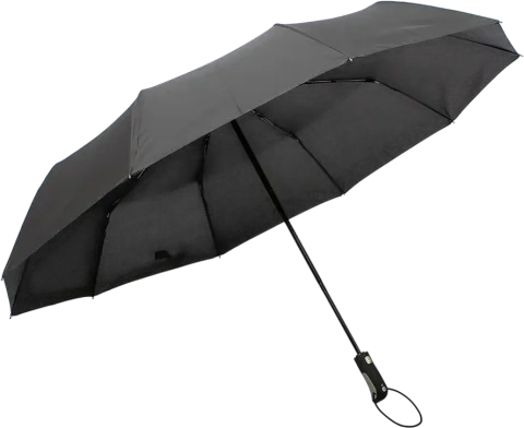 Зонт складной Rain Berry 734-7371T-BLK (черный)