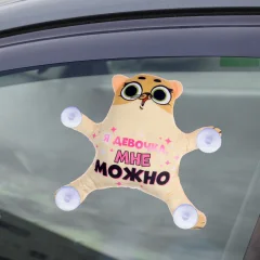 Автоигрушка Milo Toys Я девочка, мне можно на присосках / 7384667 — фото 3