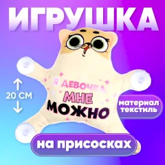 Автоигрушка Milo Toys Я девочка, мне можно на присосках / 7384667 — фото 4