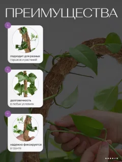 Опора для комнатных растений BOTANICA Кокосовая гибкая 80см (25мм) — фото 5