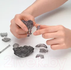 3D-пазл Crystal Puzzle Черный волк / 90255 — фото 6