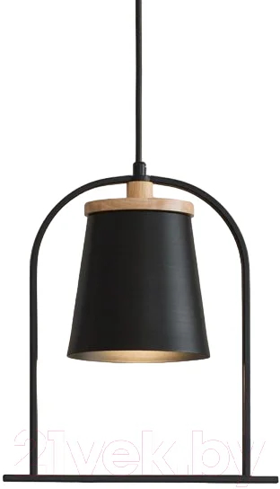 Потолочный светильник Home Light Астерия A014-0-B (черный)