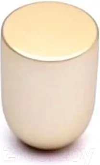 Ручка для мебели Cebi A4128 001 PC35 (матовое золото полимер) — фото 6