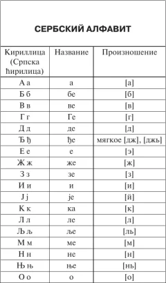 Словарь АСТ Популярный сербско-русский русско-сербский словарь (Николич Милица) — фото 5