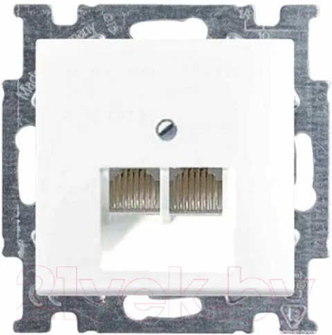 Розетка ABB Basic 55 / 13010416-01.39-01.01-01.00 (белый, лицевая панель)