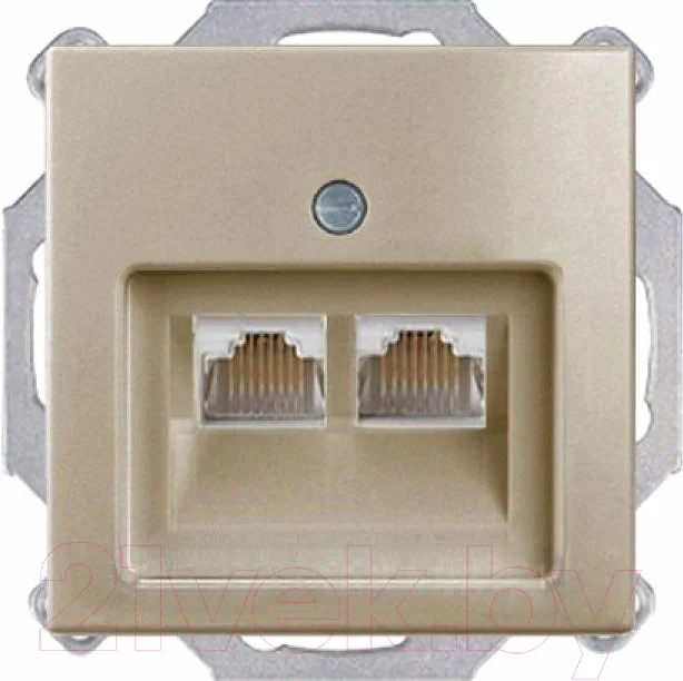 Розетка ABB Basic 55 / 13010416-02.39-01.01-01.00 (слоновая кость, лицевая панель)