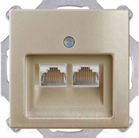 Розетка ABB Basic 55 / 13010416-02.39-01.01-01.00 (слоновая кость, лицевая панель)
