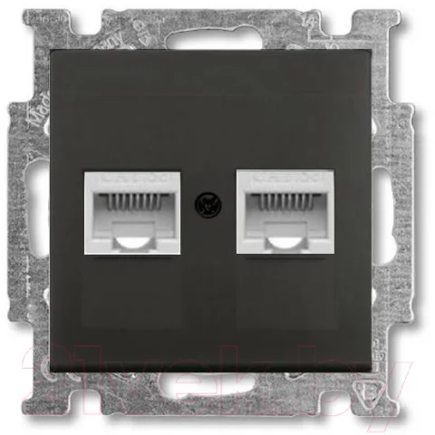 Розетка ABB Basic 55 / 13210405-02.41-05.01-01.00 (шато-черный, лицевая панель)