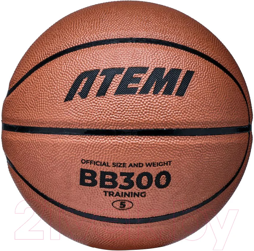 Баскетбольный мяч Atemi BB300N (размер 5)