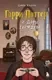 Нехудожественная книга Бомбора Гарри Поттер и Дары геймдева (Костин С.А. 9785042139826) — фото 5