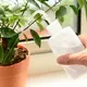 Лейка комнатная BOTANICA Бутылка для полива (500мл, прозрачный) — фото 7