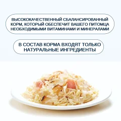 Влажный корм для кошек Wanpy Cat Курица с лососем (95г) — фото 4