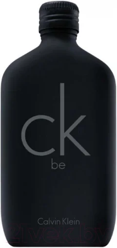 Туалетная вода Calvin Klein CK BE (100мл) — фото 1