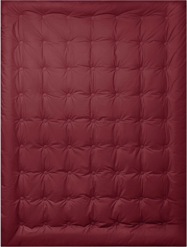 Одеяло Espera Cloud Wine / ЕС-5827 (175x200)