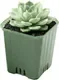 Набор вазонов BOTANICA Compact квадратный (5x6.5см, зеленый) — фото 5