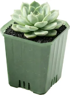 Набор вазонов BOTANICA Compact квадратный (5x6.5см, зеленый) — фото 9