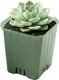 Набор вазонов BOTANICA Compact квадратный (9.5x9.5см, зеленый) — фото 6