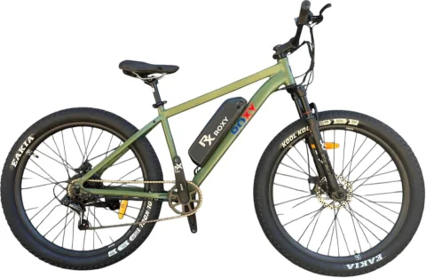 Электровелосипед ROXY D205 (27.5, зеленый/черный)